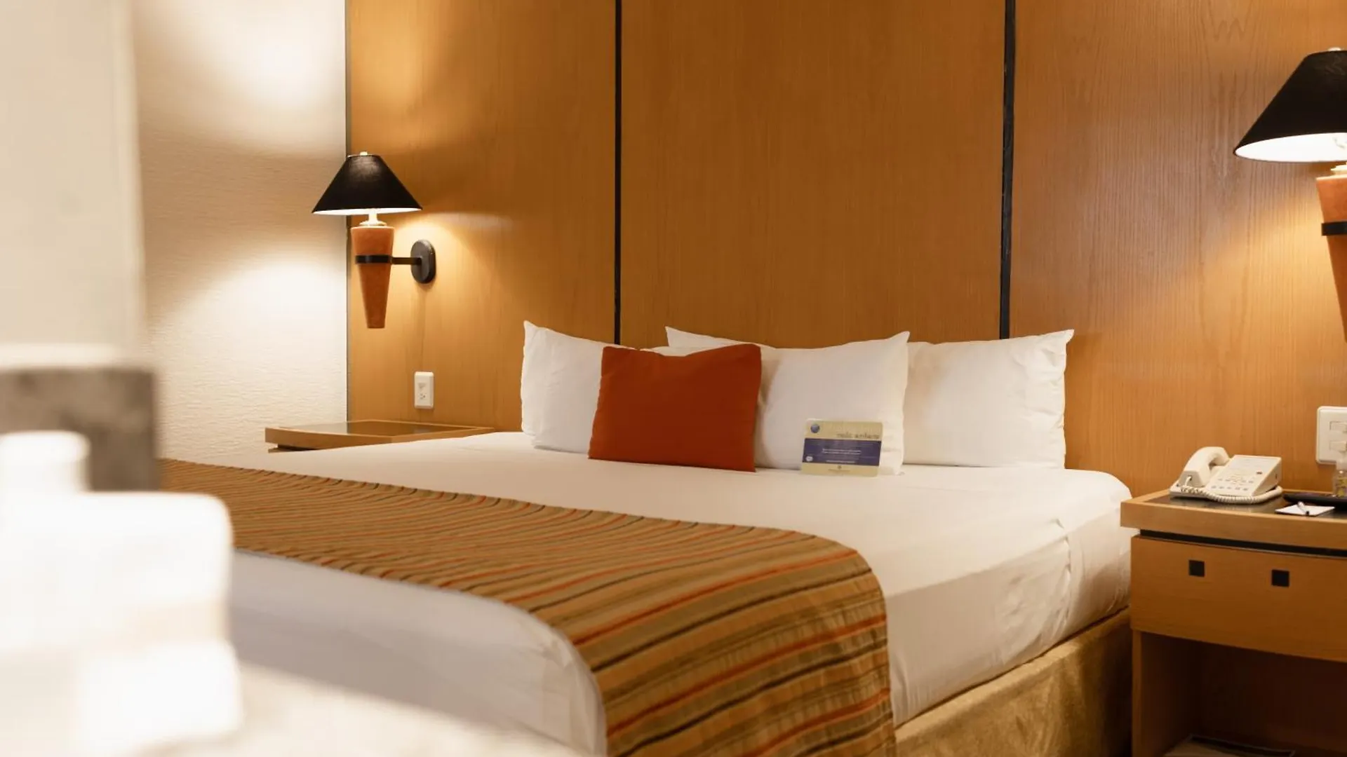 Hotel Guadalajara Plaza Ejecutivo Zapopan 4*,  Mexique