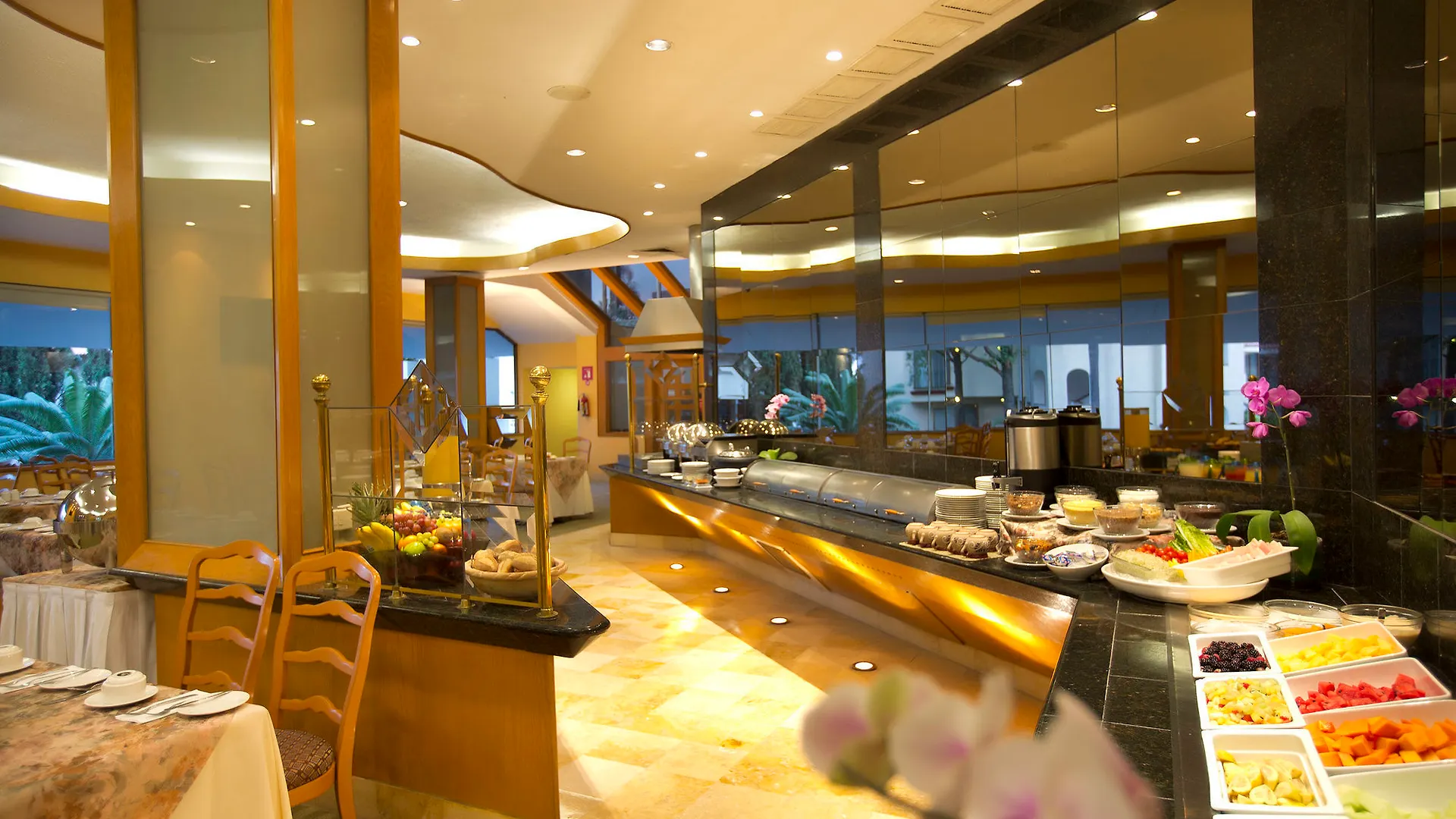 Hotel Guadalajara Plaza Ejecutivo Zapopan